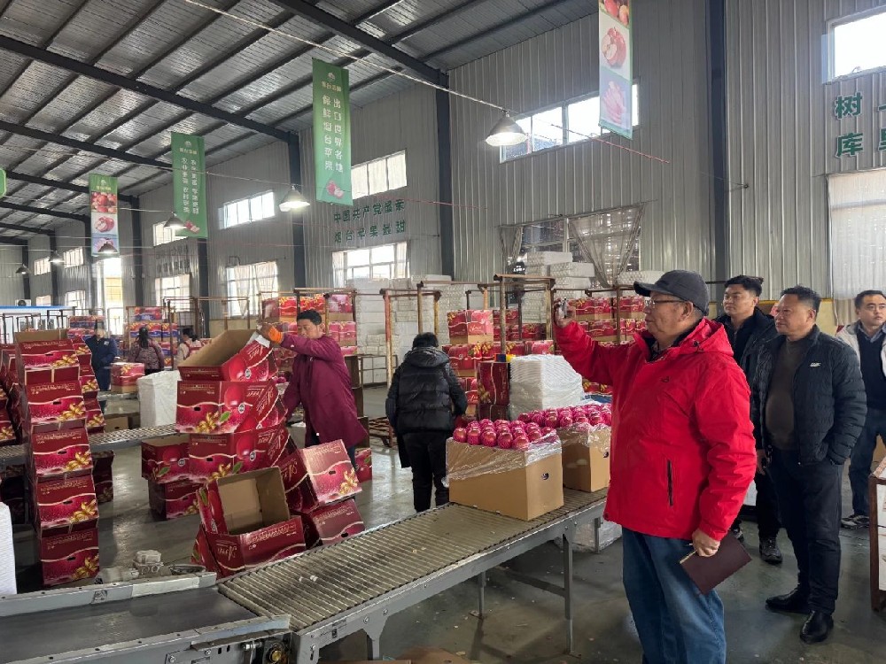 苹果市场动态评析（第249期）丨苹果产业的十个新动态