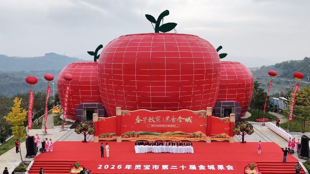 产业资讯丨秋染金城果香浓  八方宾朋聚灵宝——2026苹果产业转型升级大会暨灵宝市第二十届金城果会盛大开幕